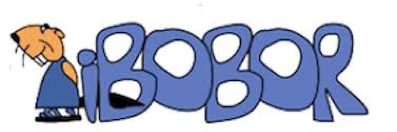 iBobor - Výsledky žiakov 2., 3. a 4. ročníka