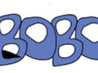 iBobor - Výsledky žiakov 2., 3. a 4. ročníka