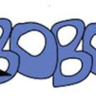 iBobor - Výsledky žiakov 2., 3. a 4. ročníka